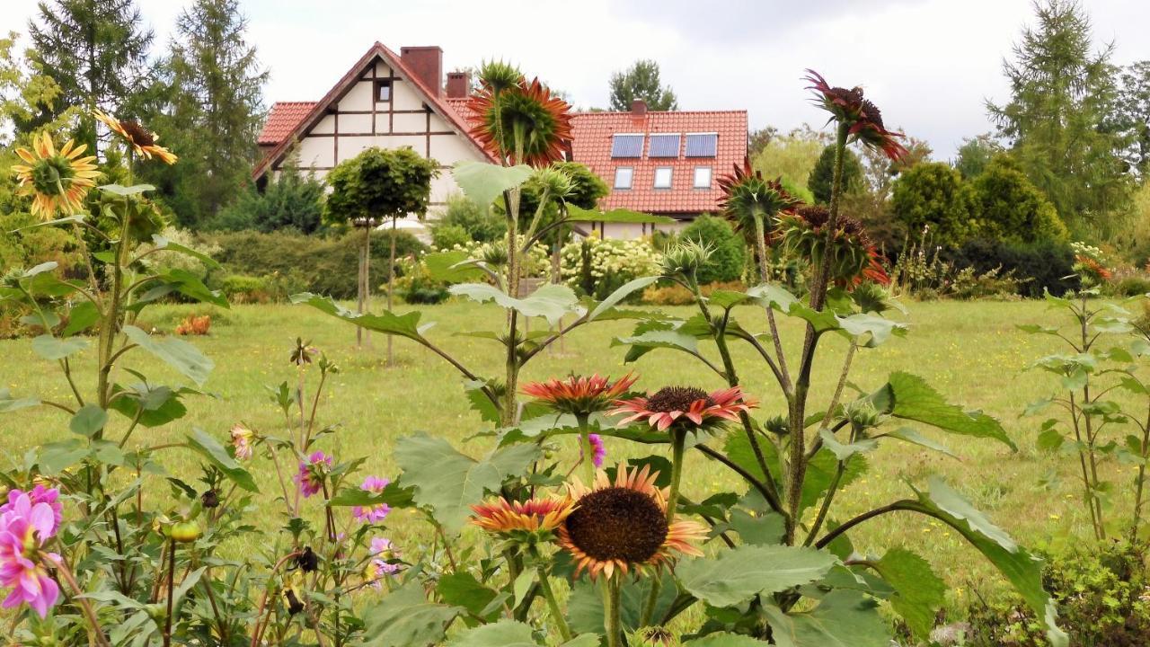 Villa Orlik バルリネク エクステリア 写真