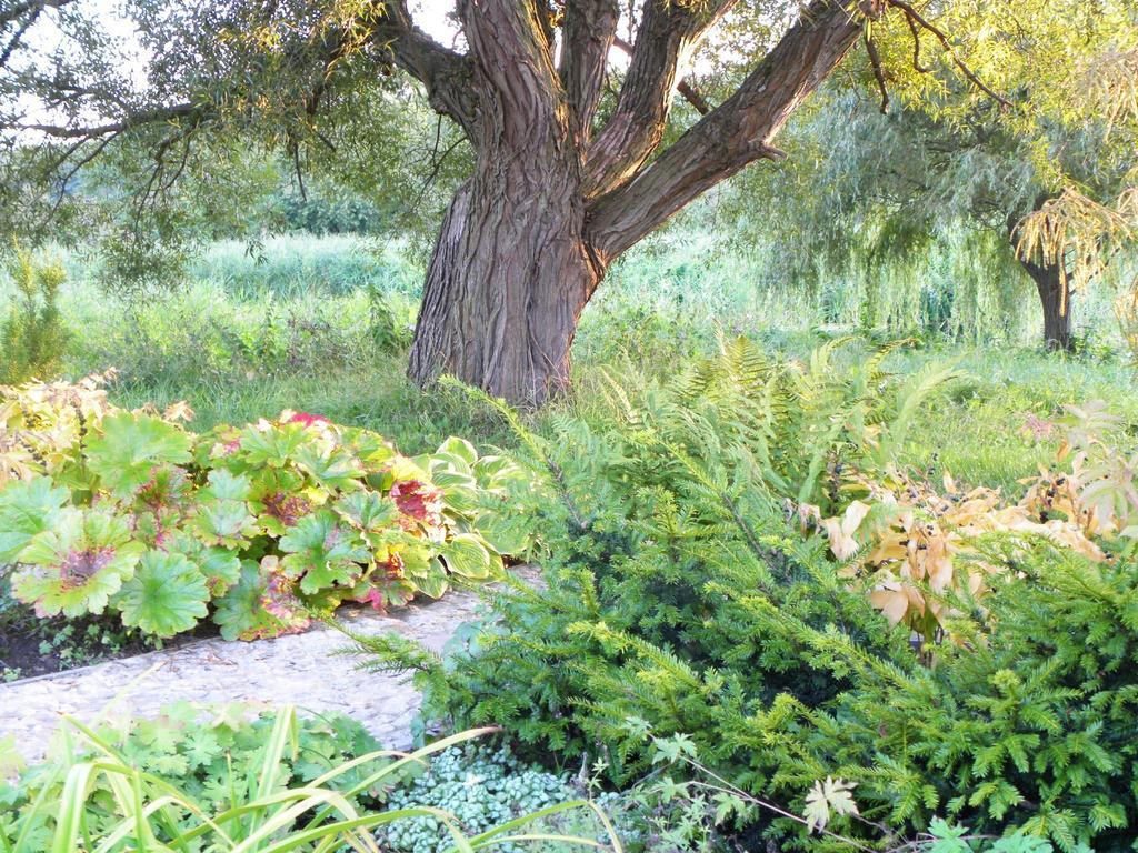 Villa Orlik バルリネク エクステリア 写真