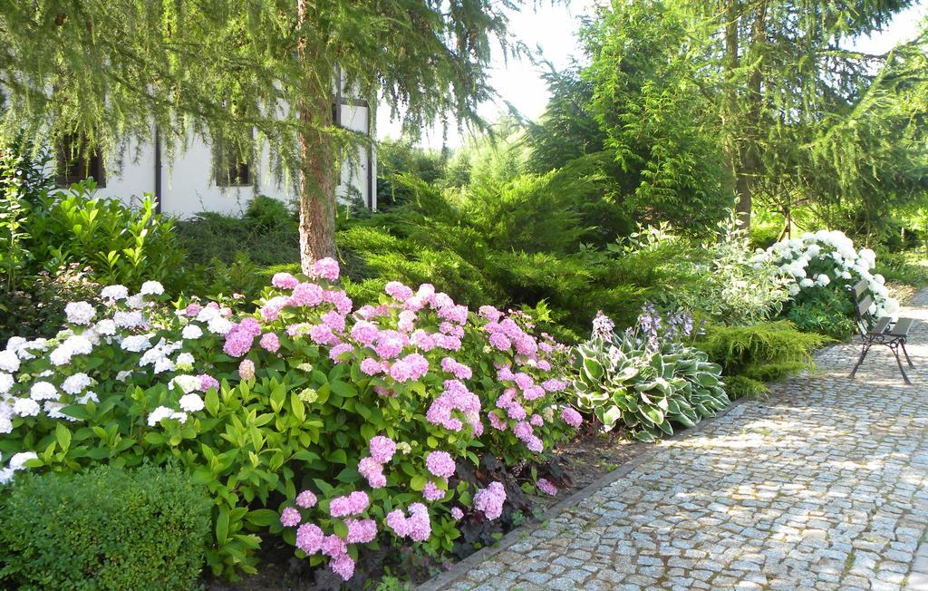 Villa Orlik バルリネク エクステリア 写真