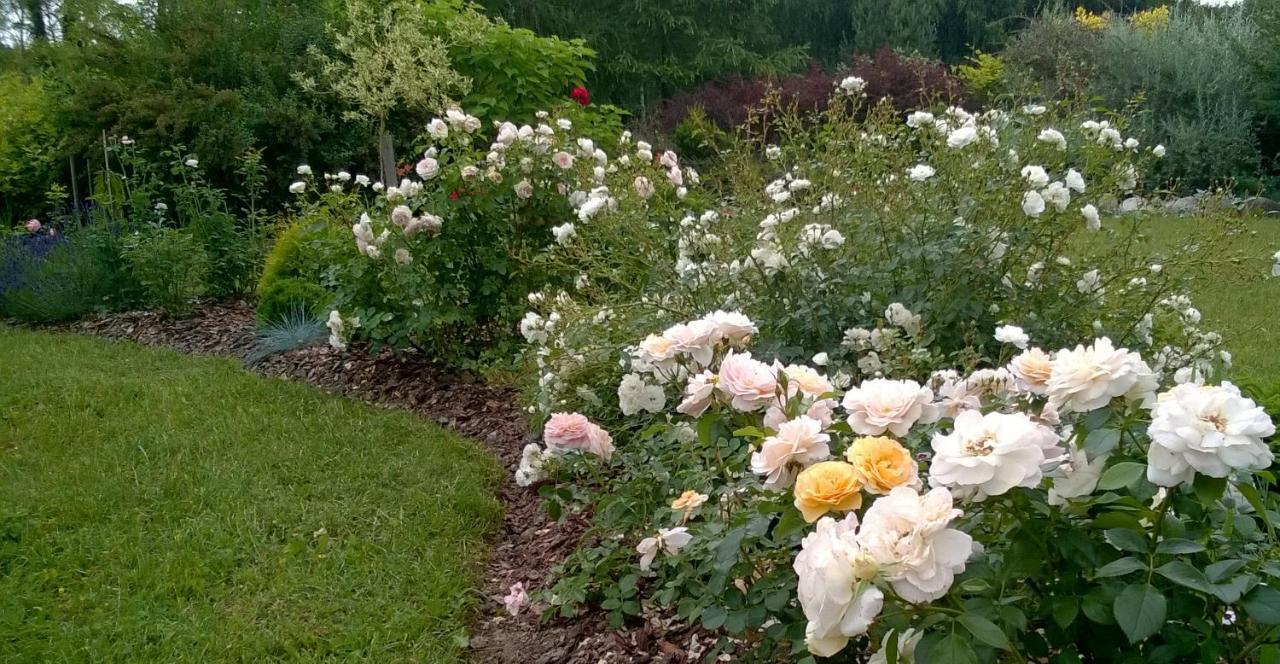 Villa Orlik バルリネク エクステリア 写真